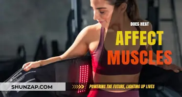 Exploring the Impact of Heat on Muscle Performance and Recovery