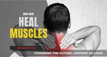 Heat Therapy: Muscle Healing Power?