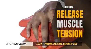 Heat Therapy: Muscle Tension Relief or Myth?