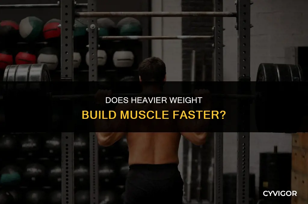 does heavier weight build muscle faster