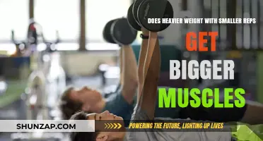 Building Bigger Muscles: The Myth of Heavier Weights and Smaller Reps