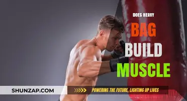 Punching Power: Unveiling the Muscle-Building Benefits of Heavy Bag Training