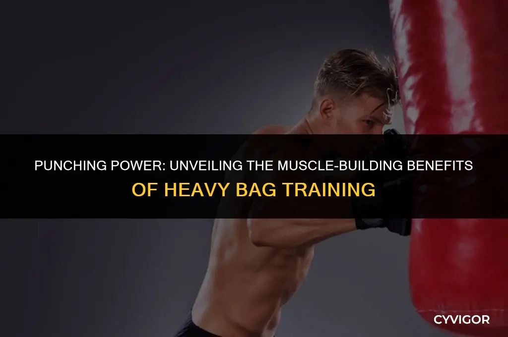 does heavy bag build muscle
