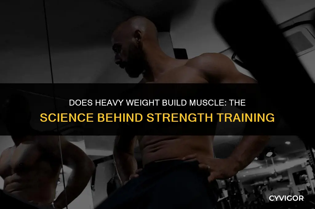 does heavy weight build muscle