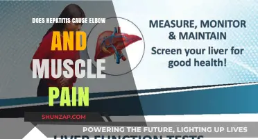 Hepatitis: Elbow and Muscle Pain Explained