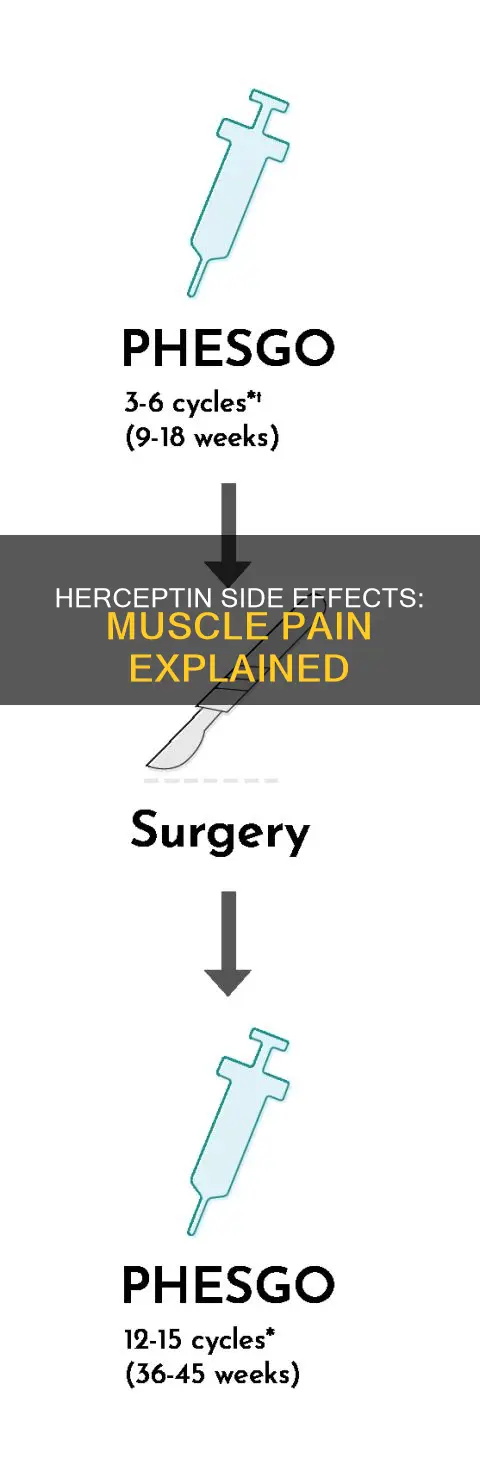does herceptin cause muscle pain