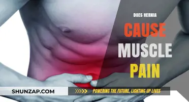 Hernia and Muscle Pain: What's the Connection?