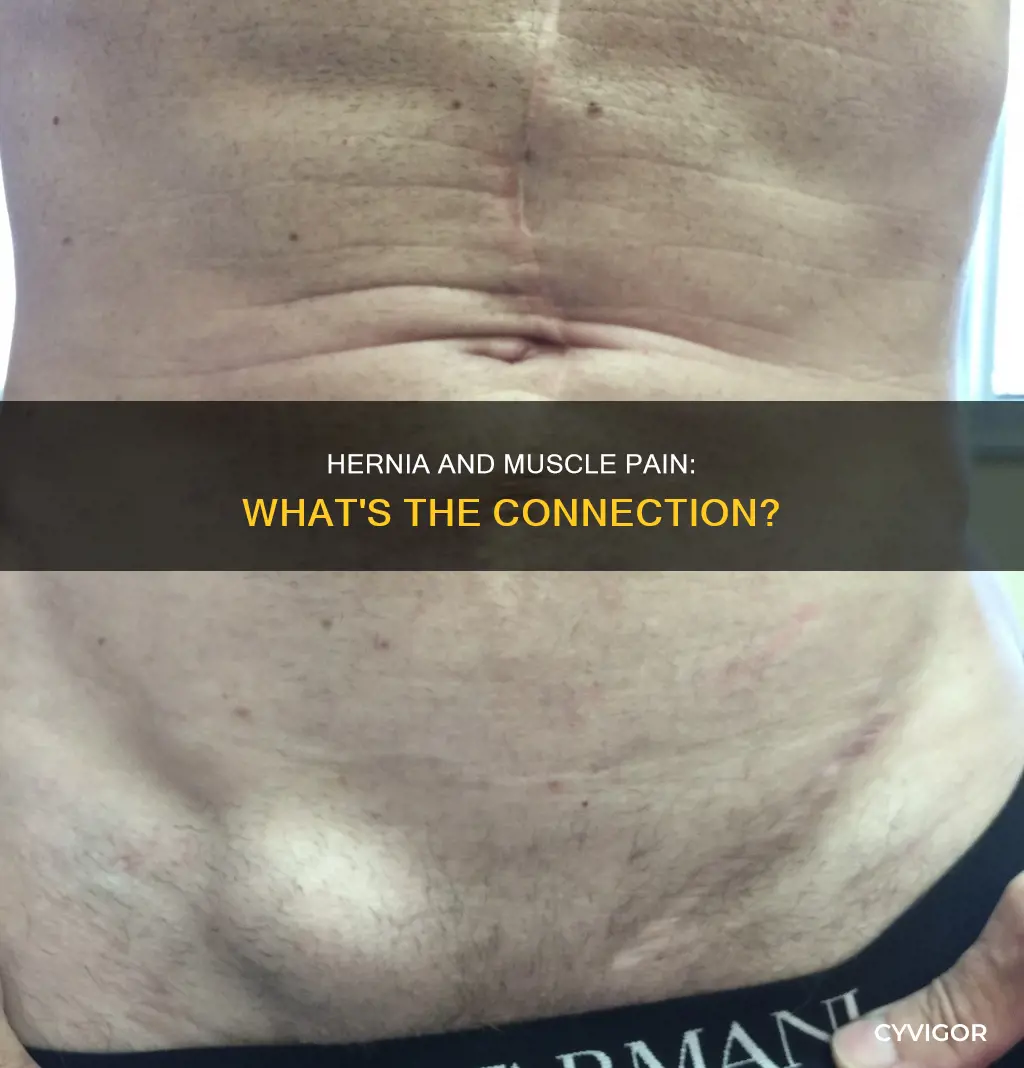 does hernia cause muscle pain