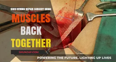 Understanding Hernia Repair: How Surgery Reunites Abdominal Muscles