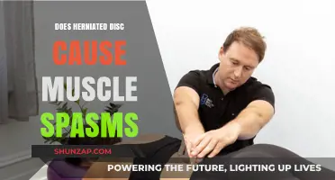 Herniated Discs and Muscle Spasms: What's the Connection?