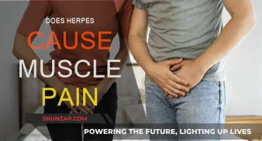 Herpes and Muscle Pain: Is There a Link?