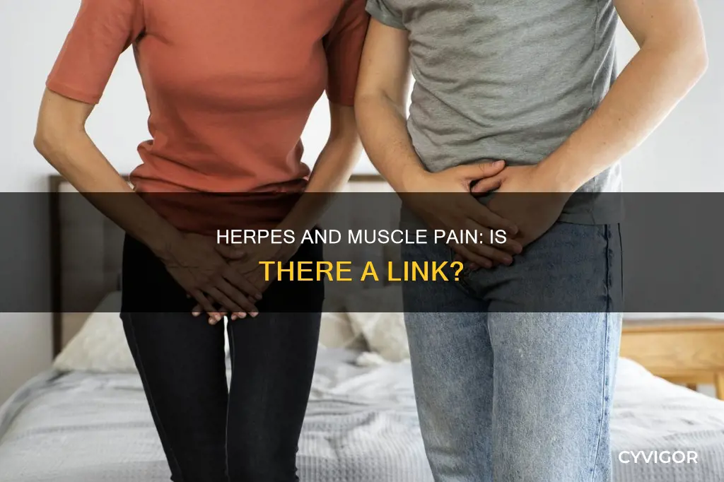 does herpes cause muscle pain