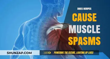 Herpes and Muscle Spasms: What's the Link?