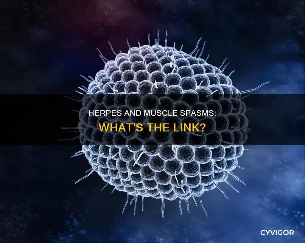 does herpes cause muscle spasms
