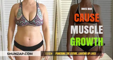 HGH and Muscle Growth: What's the Real Story?
