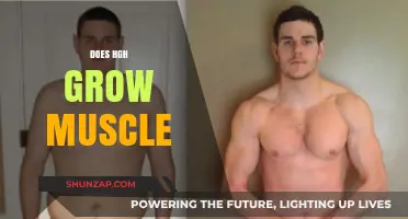 Does HGH Grow Muscle? Unveiling the Truth Behind Hormone Therapy