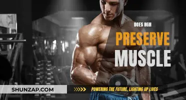 HGH's Muscle-Preserving Power: Fact or Fiction?