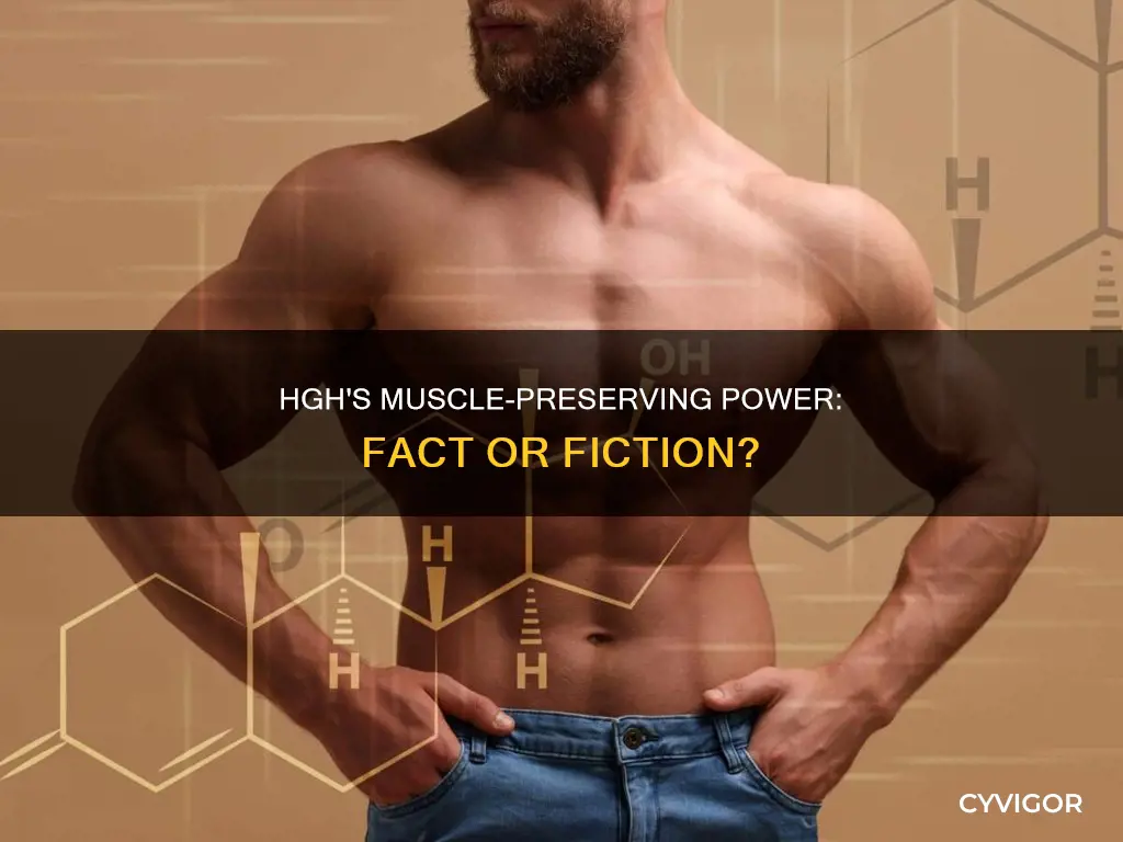 does hgh preserve muscle