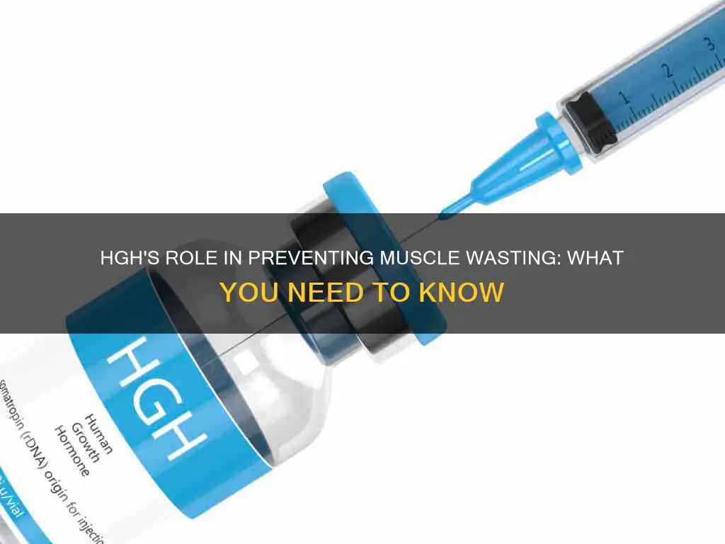 does hgh prevent muscle wasting