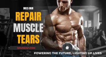 HGH and Muscle Tears: Repair and Recovery