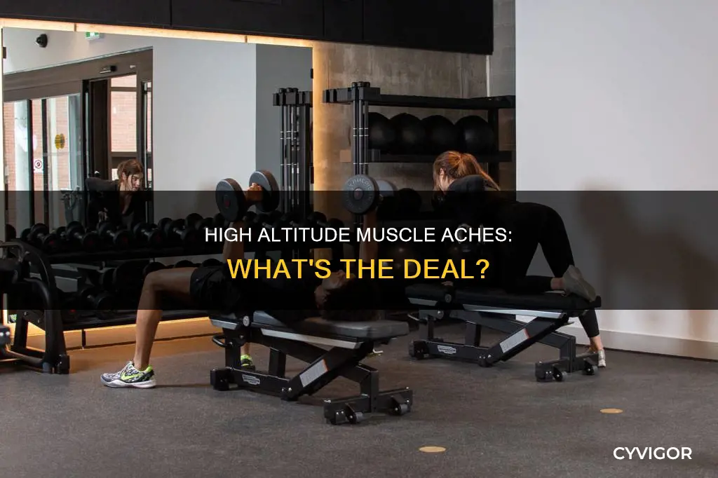 does high altitude cause muscle aches