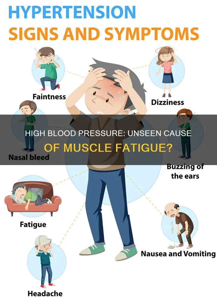 does high blood pressure cause muscle fatigue