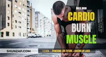 High Cardio and Muscle Loss: What's the Connection?
