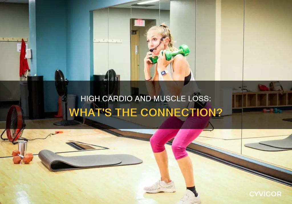 does high cardio burn muscle
