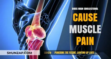 Cholesterol and Muscle Pain: Is There a Link?