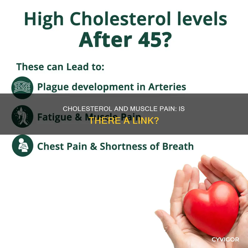 does high cholesterol cause muscle pain