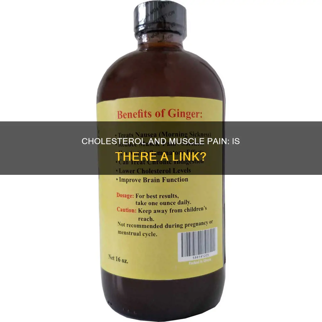 does high cholestrol cause muscle pain