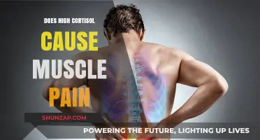 Cortisol and Muscle Pain: What's the Connection?
