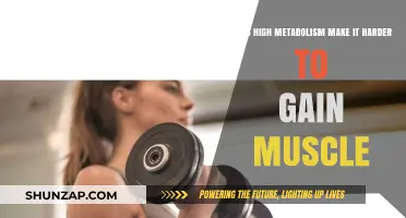 High Metabolism and Muscle Gain: Challenges and Strategies for Growth