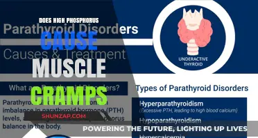 High Phosphorus and Muscle Cramps: What's the Link?