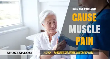Potassium and Muscle Pain: Is There a Link?
