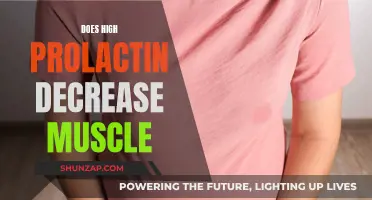 Prolactin's Impact: Can it Weaken Muscles?