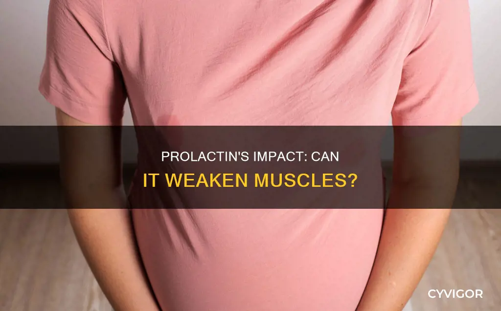 does high prolactin decrease muscle