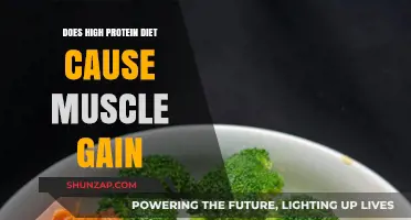 Protein Power: Muscle Gain from Diet