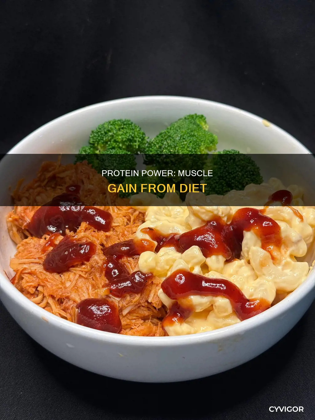 does high protein diet cause muscle gain