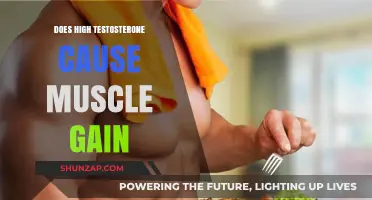 High Testosterone and Muscle Gain: Fact or Fiction?