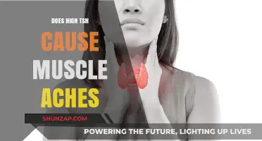 High TSH and Muscle Aches: Is There a Link?