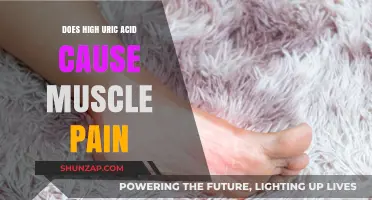 Uric Acid and Muscle Pain: What's the Connection?