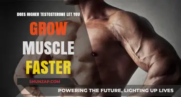 Higher Testosterone: Does It Accelerate Muscle Growth and Strength Gains?