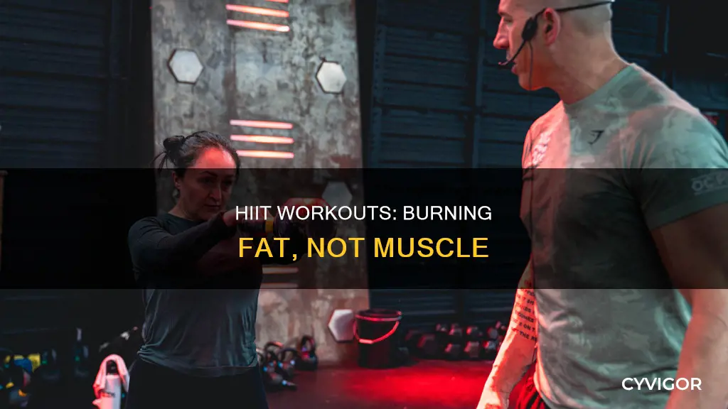 does hiit burn muscle