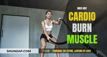 HIIT Cardio: Friend or Foe to Your Muscles?