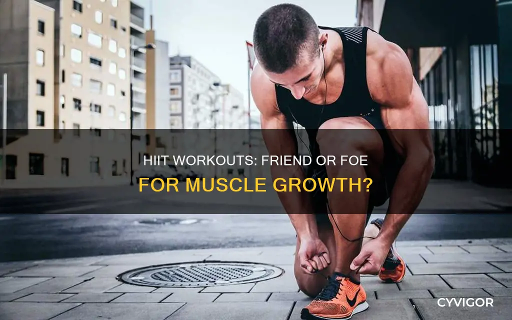 does hiit decrease muscle