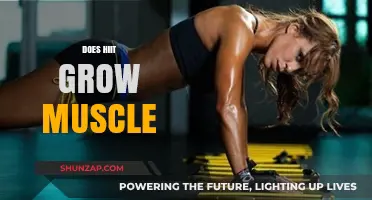 Can HIIT Build Muscle? Unlocking the Truth About High-Intensity Workouts