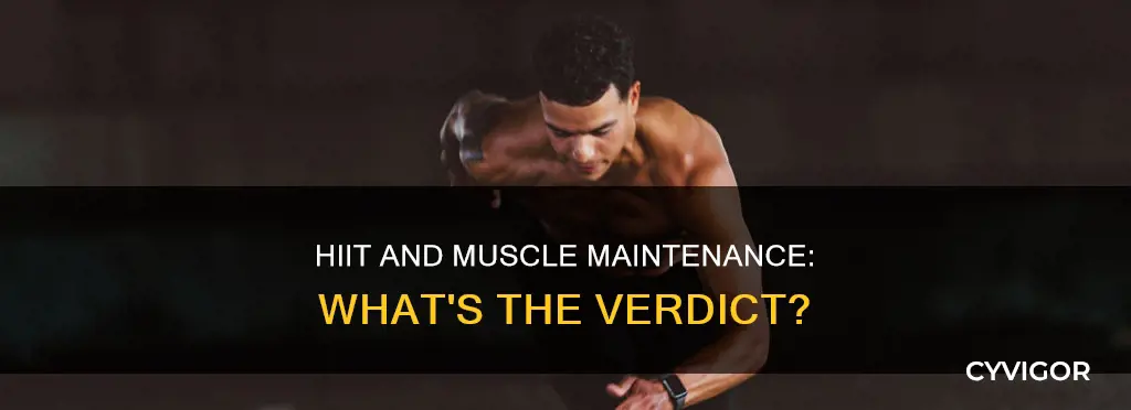 does hiit maintain muscle