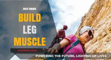 Hiking: A Natural Path to Stronger Legs and Beyond