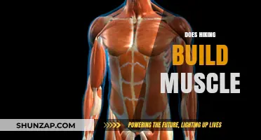 Does Hiking Build Muscle? Unveiling the Surprising Truth
